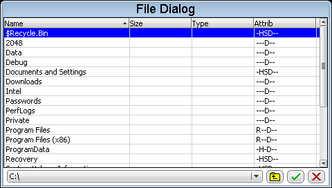 CHOOSEFILE Usage.png