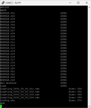 FH4 Files Terminal.png